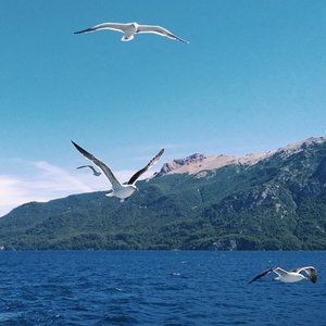 Follow Me, I Follow Back!